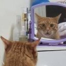 메이크업 환생