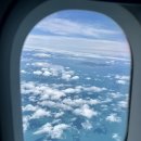 제주도 영장소리-행상소리 | 제주도 맛집 여행 롯데호텔제주 호캉스