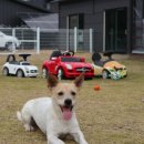 이쁘개즐겁개 이미지