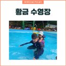 황금수영장 | 흐린 날에도 꿀잼! 평택 황금수영장 무료 평상 &amp; 바비큐 후기