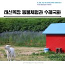 국화 | 예산 아그로랜드 태신목장 동물 체험과 수레국화 후기