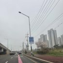 바리스타 1급 | 시흥 프리미엄 아울렛 쇼핑🛍️🛒🤑💕