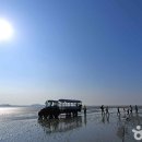 러블리펫108 이미지