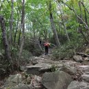 규봉암가는길 이미지