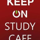 커피 스터디 CAFE 이미지