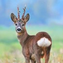 광화문농장 이미지