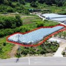 부용농장 이미지