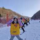 YMCA 청소년 스키캠프 지도자 봉사활동(하이원리조트/2025.02.10-12)