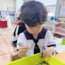 마른 라벤더 잘게 자르기 활동 🪻 이미지