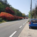 강빛세탁소 네이버블로그