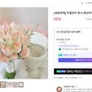 슈망플레르 이미지
