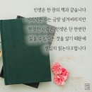사찌꼬, Dancing all night. 이미지