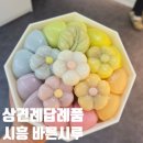 바른시루