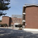 용두해수욕장 숲속야영장 이미지