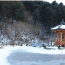 오선농장 이미지