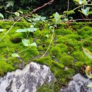 텃골공원 이미지