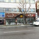 애견 11번가 이미지