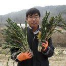 종연농장 이미지