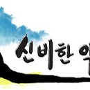 수원-0376 Daum카페