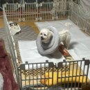 VIP동물의료센터 동대문점 이미지