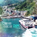 HCN경북방송