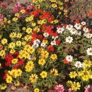 평강휴게소식당 이미지