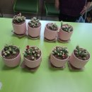 백양종합복지관 이미지