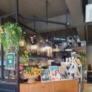 카페보니또강남성심