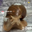 (주)피플펫 | 드디어! 기다리던 9월 🤎