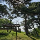 풍산읍 생태공원 이미지