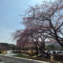 과학로(유성-8) | [대전 나들이 명소 추천] 빵의 도시의 대학 카페는 남다르다! 야외에서 다양한 디저트를 즐길 수 있는...