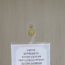 멍루아 펫살롱 네이버블로그