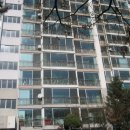 분당-339 이미지