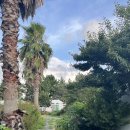 동그라미펜션 이미지