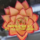 철화농장 이미지