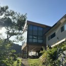 단양마중 이미지