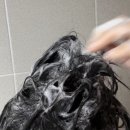 개인(김영대) | 단백질샴푸 뭐가 좋을까? 탈모샴푸1위 먼프리 김영대 샴푸 솔직 후기