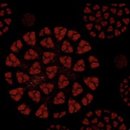 강화안경마트 이미지