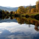 판교스포츠센터 이미지