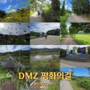서면사무소 | 강원 철원 가볼만한곳 코리아둘레길 DMZ평화의길 18코스(잠곡3리-와수리)