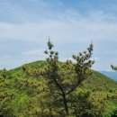 수정4동초소 이미지