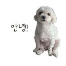 경산종합약국 네이버블로그
