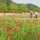 교대역 13번출구 뒤 1 이미지