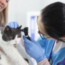 이로동물의료센터 이미지