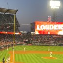 더큰스카이 피시타운 | LA 칸쿤 신혼여행 10박 12일 자유여행 일정 총정리