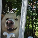 메디벳 주식회사 이미지