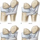 가다정한의원 이미지