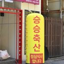 승승정육