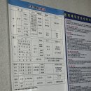 서울봉래초등학교 | 중구 충정로 봉래초, 봉래체육문화센터 자유수영 가격, 시설, 분위기 정보 &amp;후기