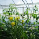 농업회사법인 우성(주) 이미지